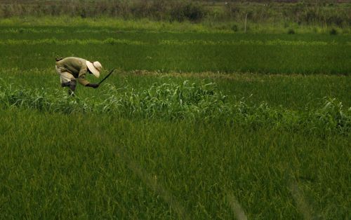 Čo si zasejem, to si aj zožnem