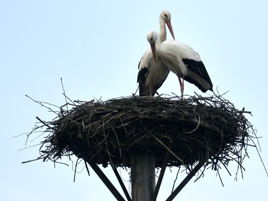 Jedno objatie na ráno
