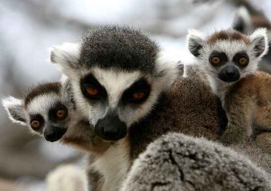 Hej, čo robíme v Grécku?