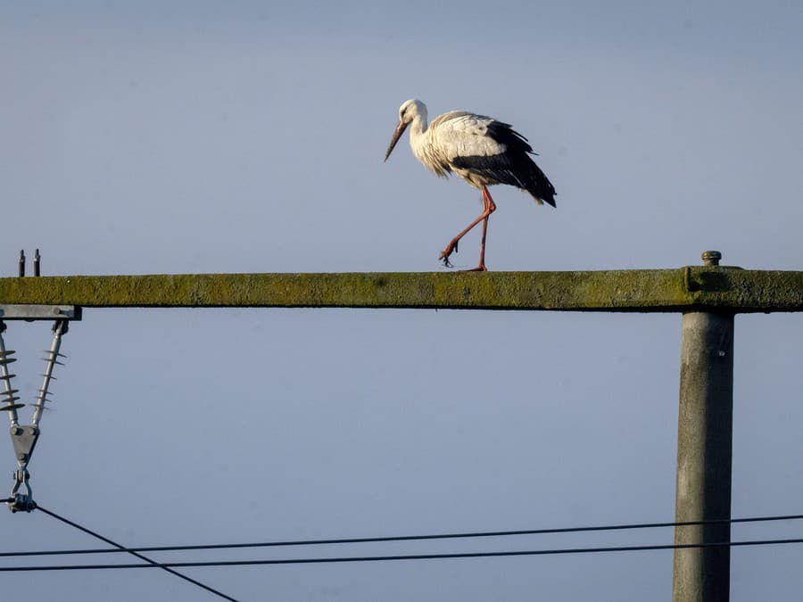 Tu si dám menšiu prestávku