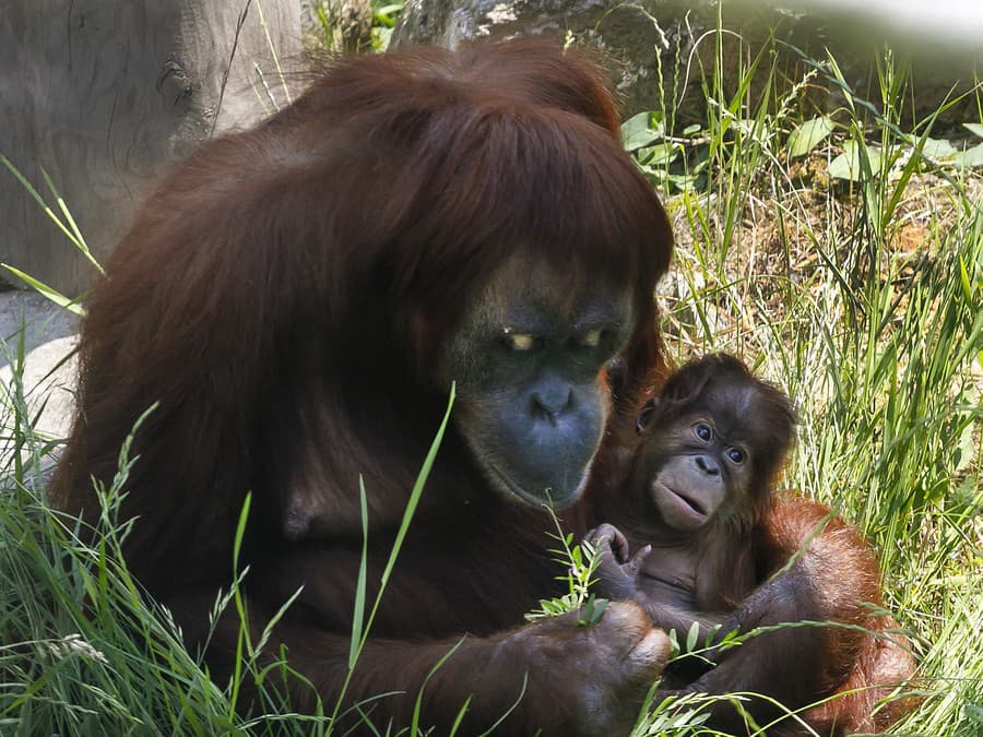 Víkendová pohodička