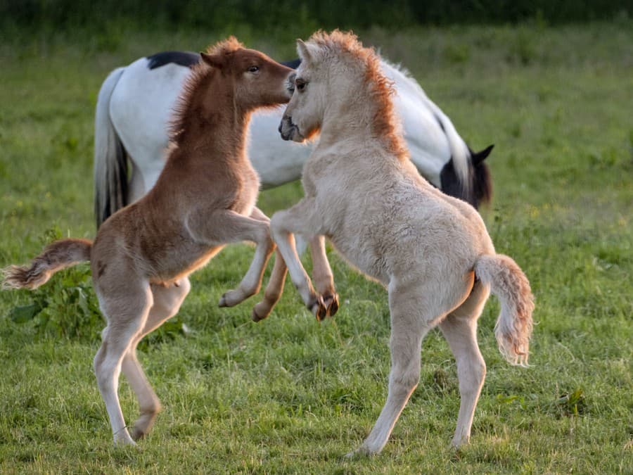Tanec nie je nikdy zlý nápad!