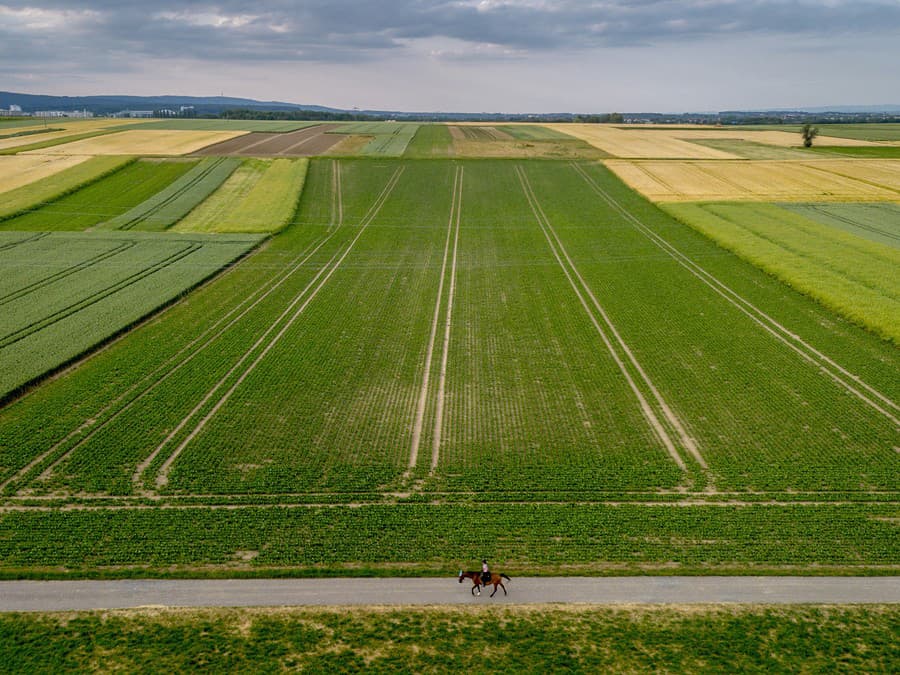 Všade samá zelená
