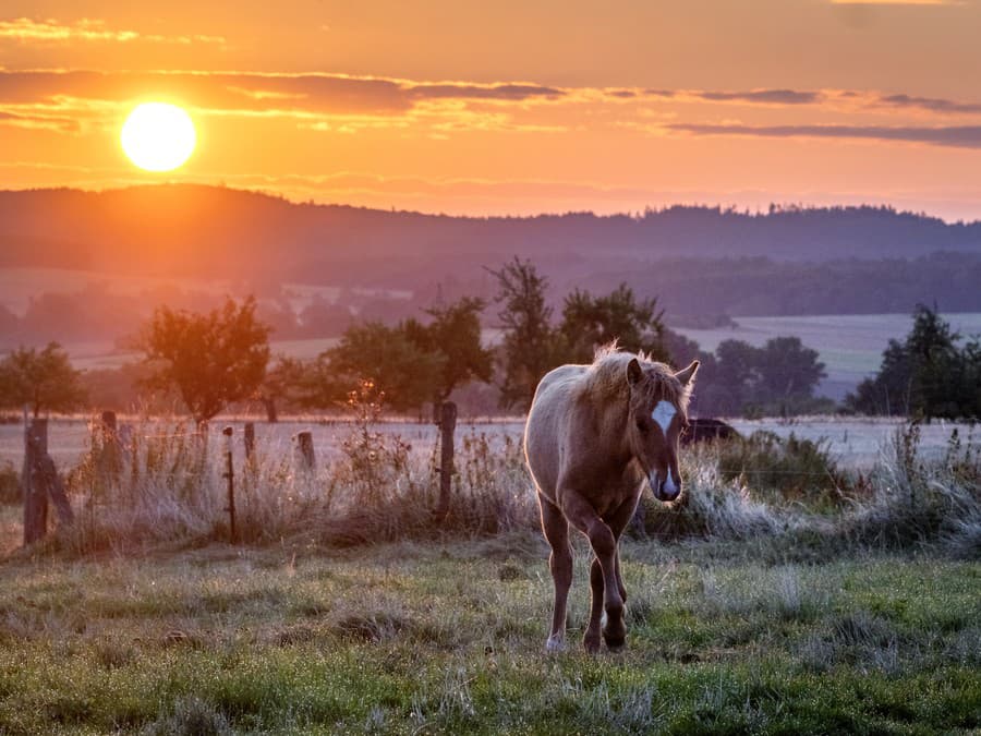 Zlatý východ slnka
