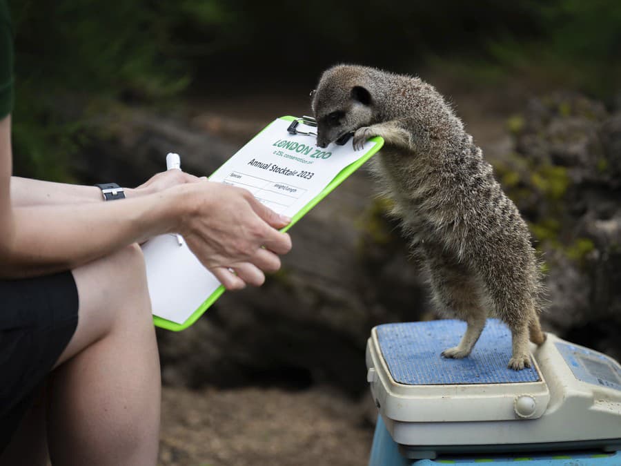 Ukáž, pomôžem ti!