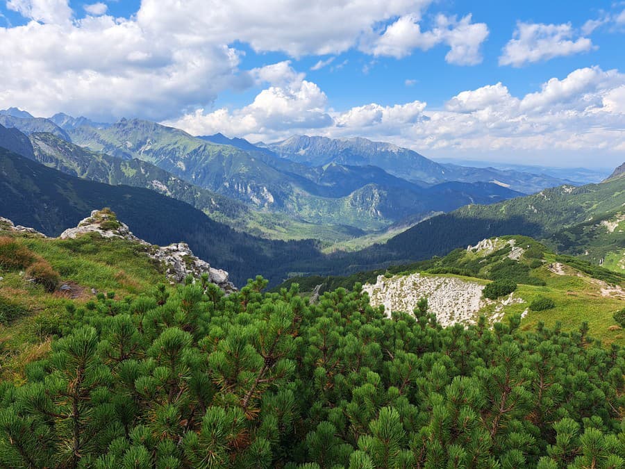Pozdravujem vás, lesy, hory, ...