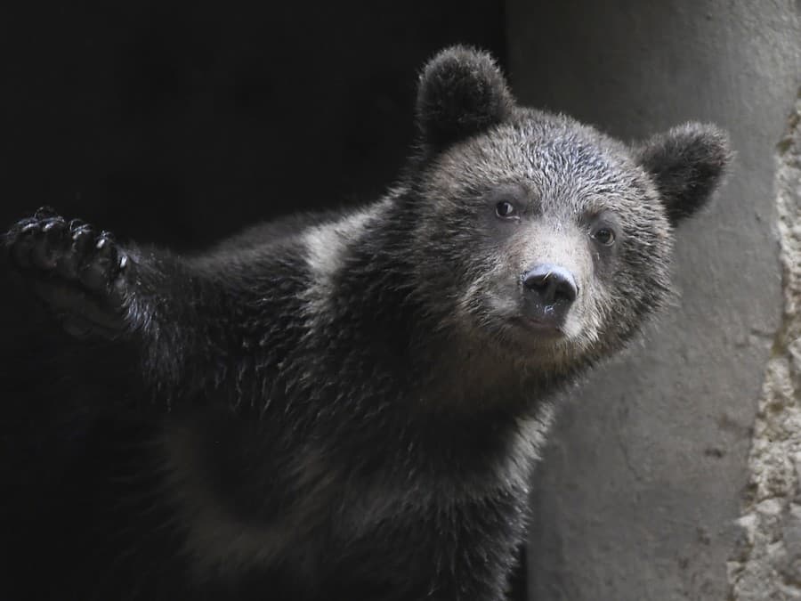 Kuk do nového dňa!