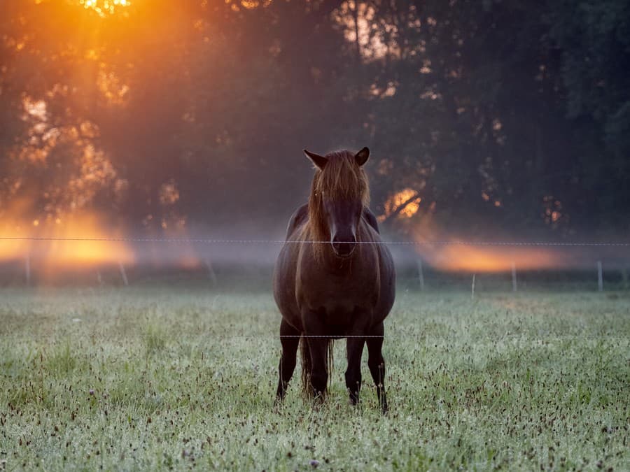Krásny slnečný deň!