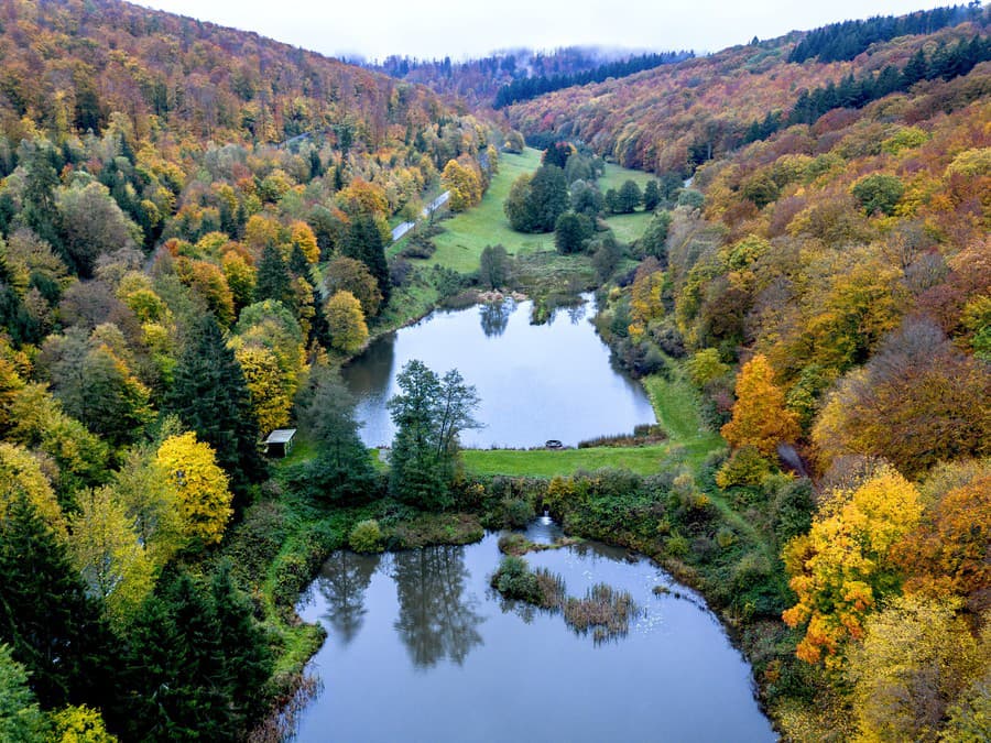 Pestrofarebná jeseň!
