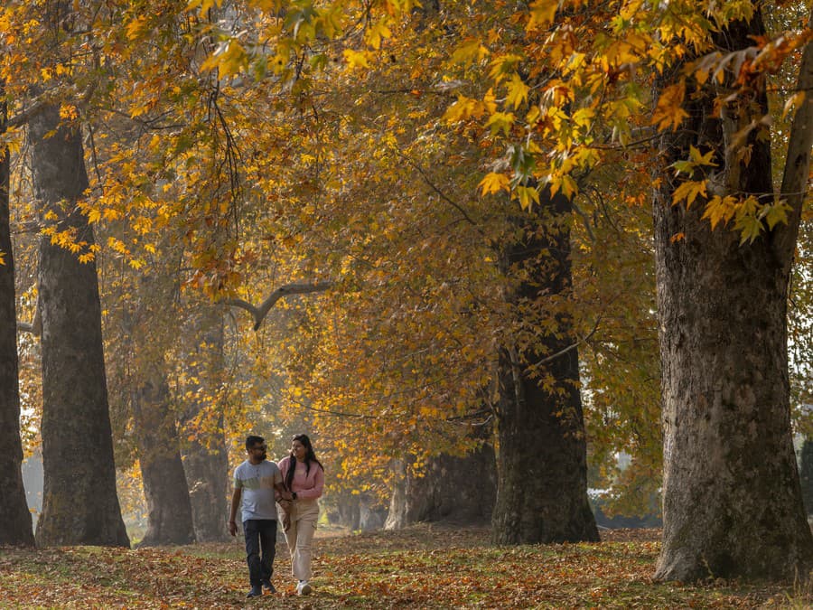 Prechádzka pod zlatom