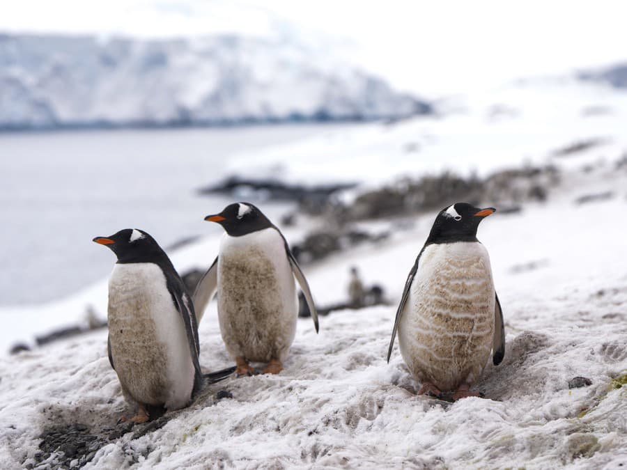 Nás si nevšímajte!