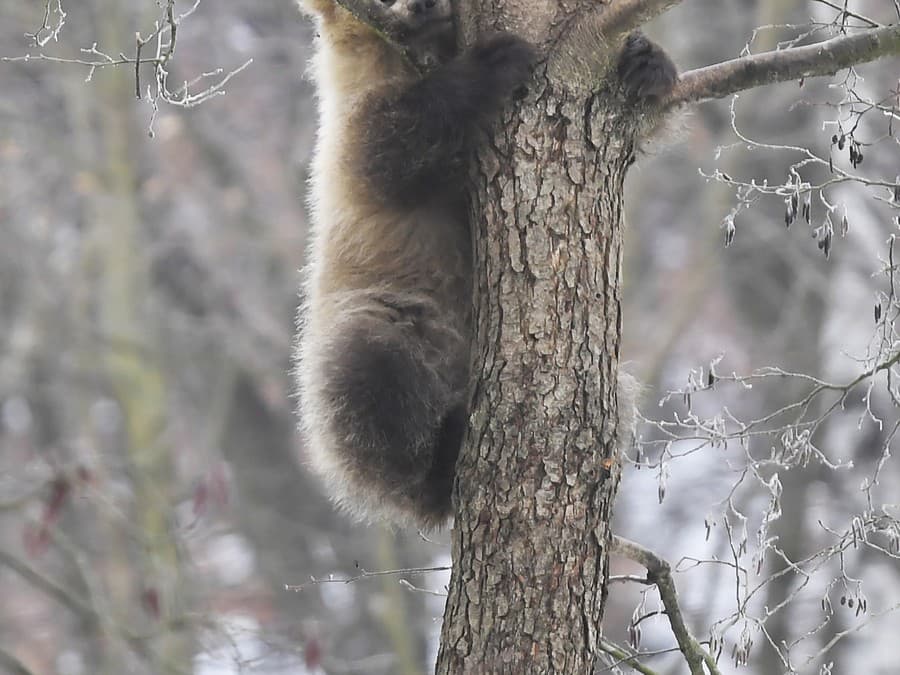 Nevidíte ma, však?