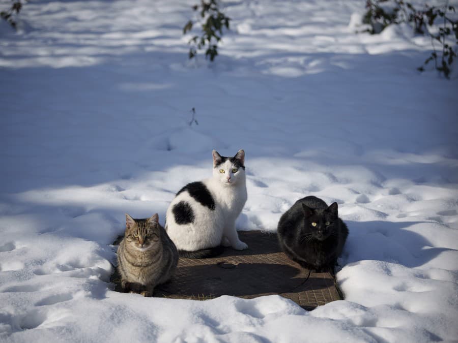 Trošku sa ohrejeme!
