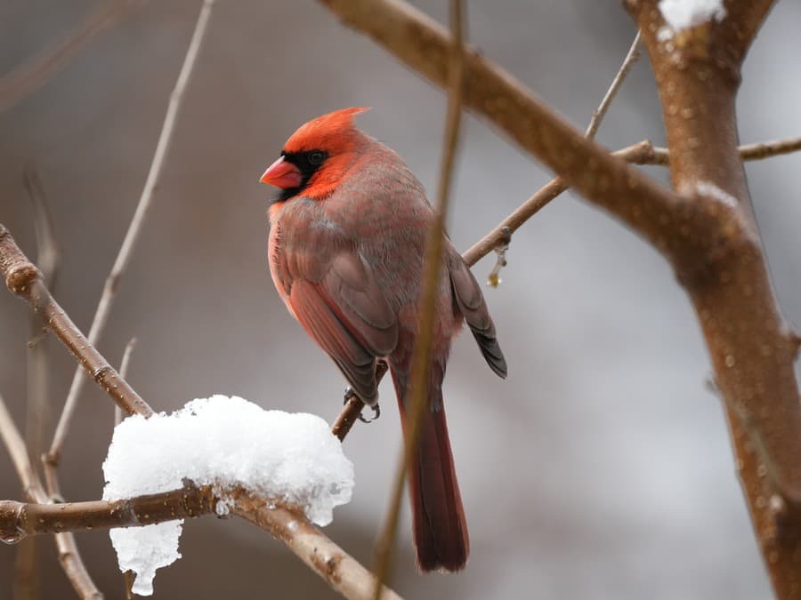 Krásne ráno všetkým