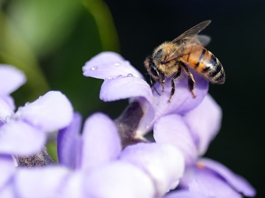 Robota v plnom prúde