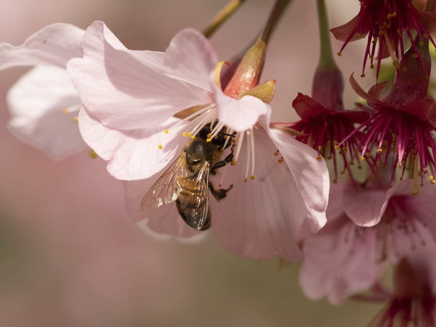 Mňam, to je dobrota