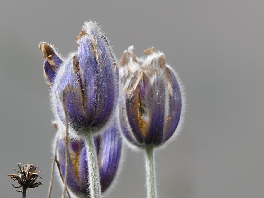 Jar je v plnom prúde!