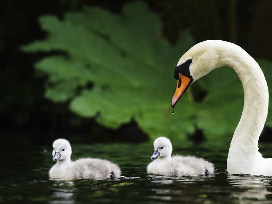 S maminkou je najlepšie!