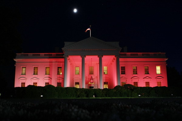 Biely dom v ružovom
