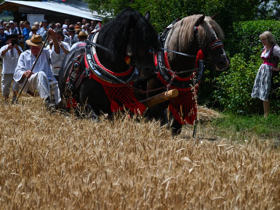 Návrat k tradíciám