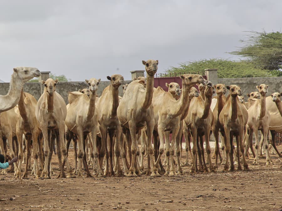 Dievčatá, úsmev do kamery!