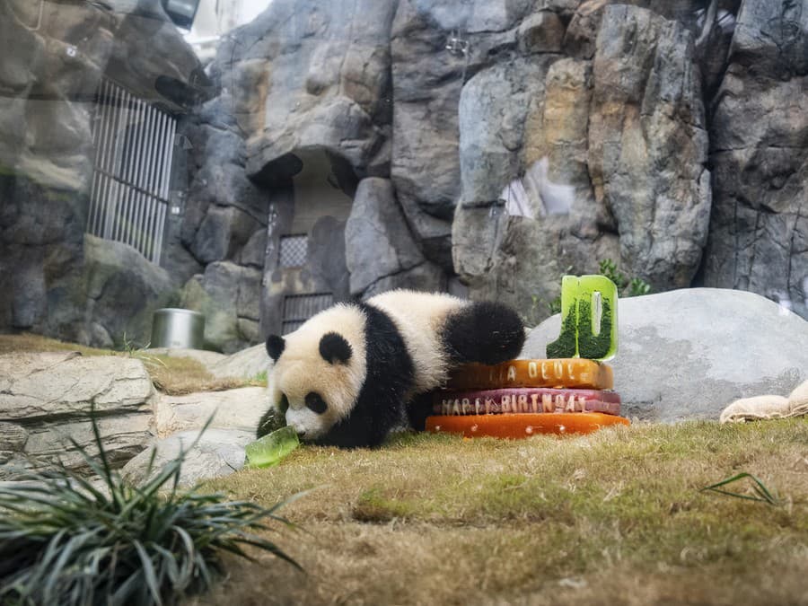 Ahojte, už mám jeden rok!