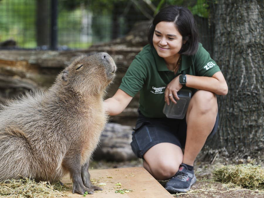 Áno, tam ma poškrabkaj!