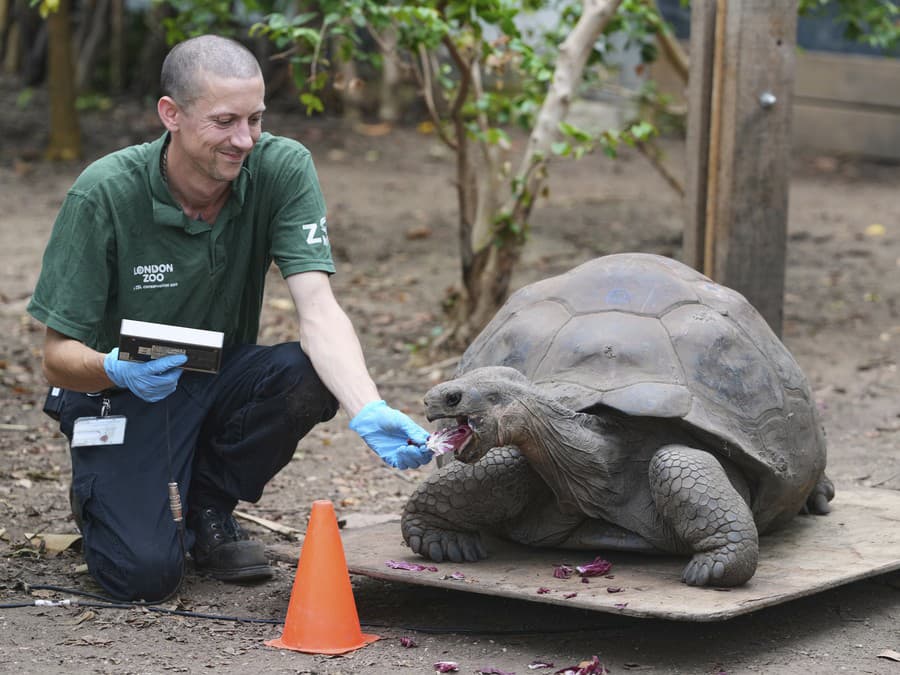 Pekný dník želám!