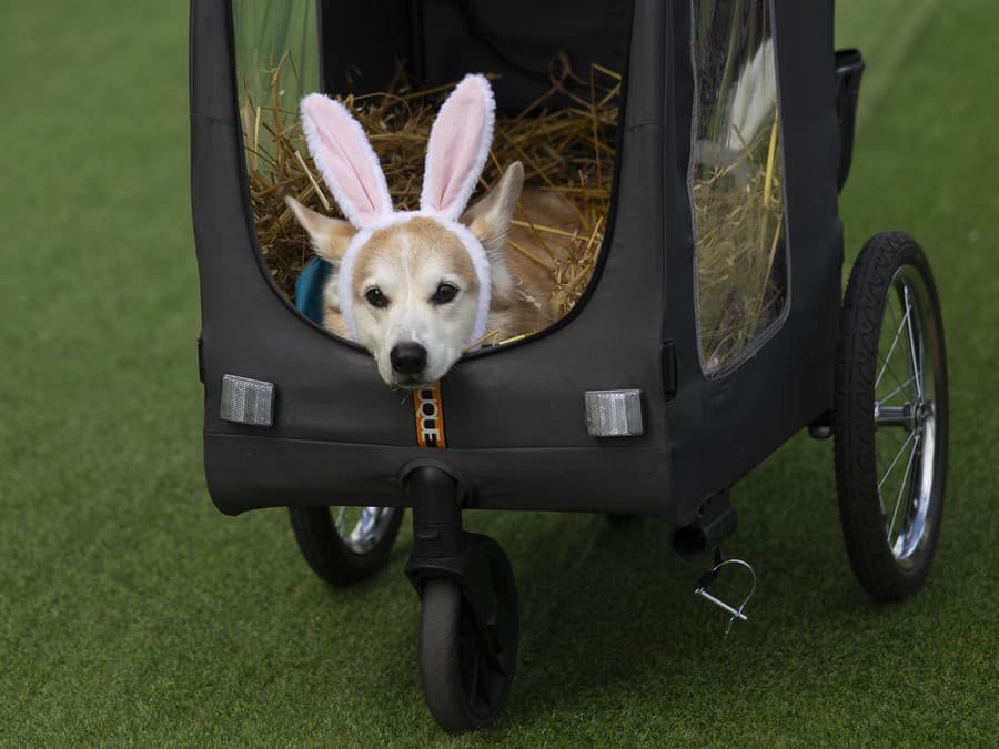 Kto sa teší na nový deň?