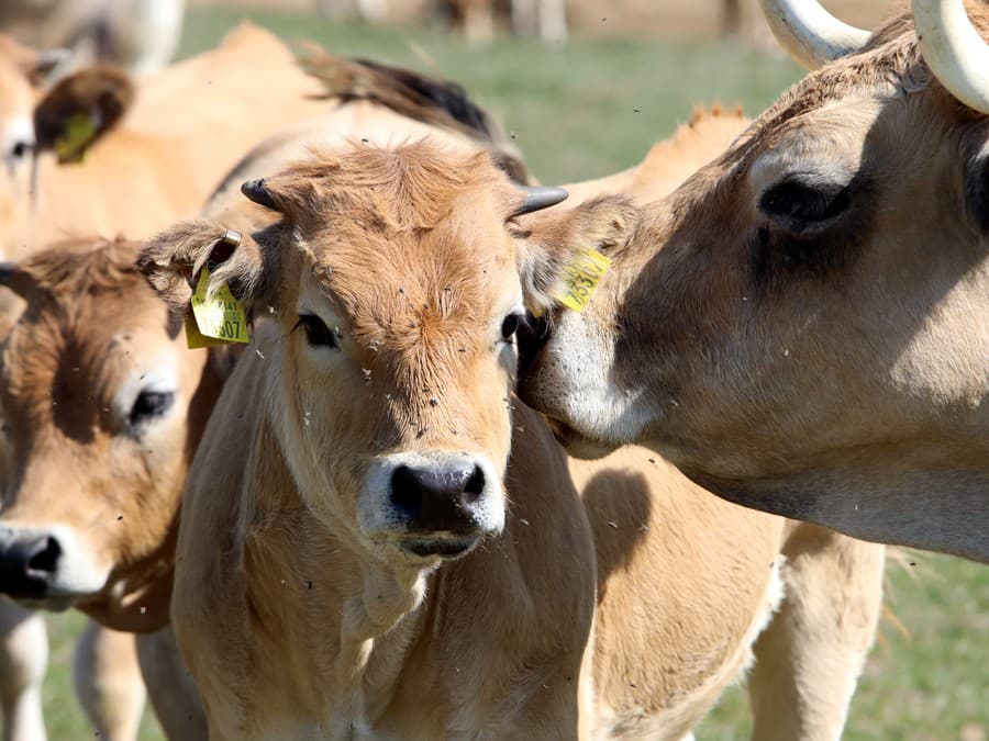 Počuj, musím ti niečo povedať!