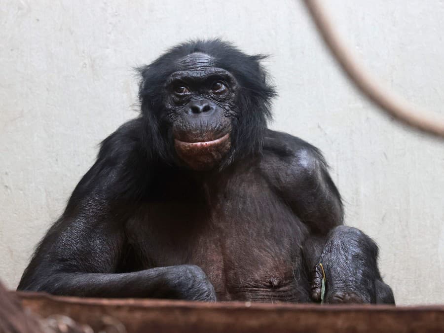 Krásny začiatok týždňa!