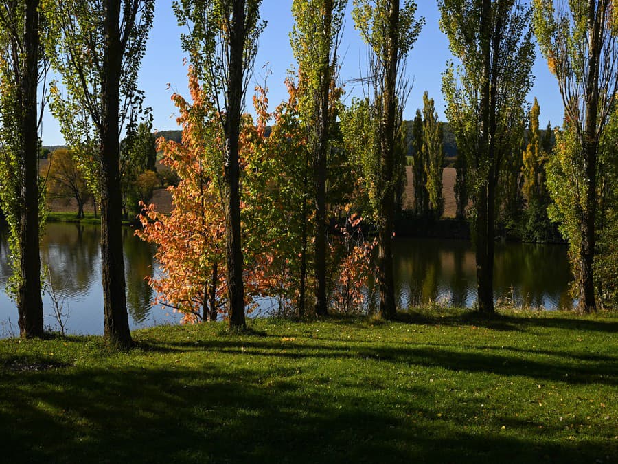 Čas na prechádzku!