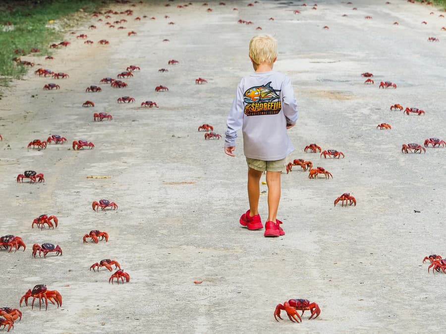 Čo tak sa ísť prejsť?