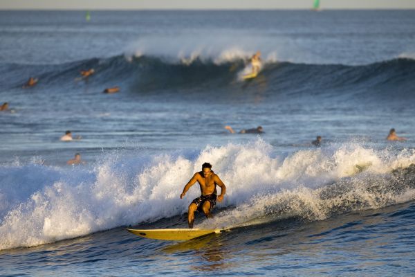 Havajský surfista