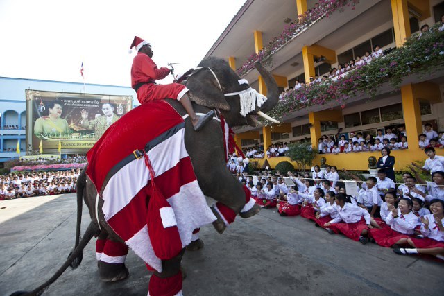 Slon Santa Claus