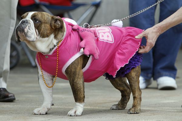 Princezná bojovníčka