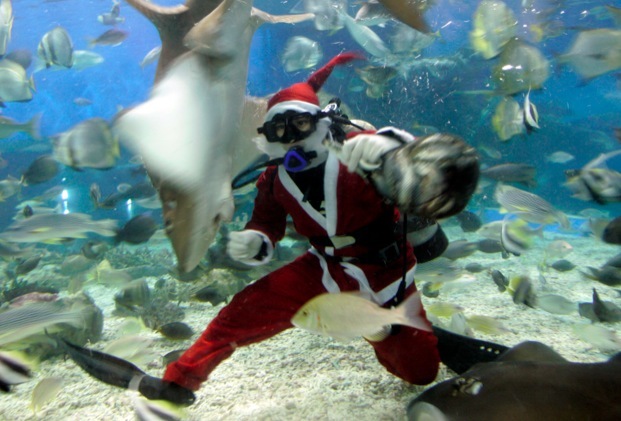 Santa Claus potápač