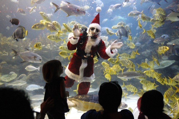 Santa Claus v akváriu
