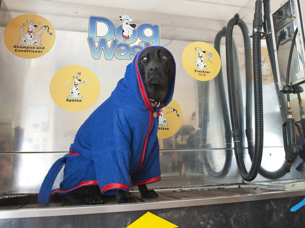 Umyvárka pre psíkov