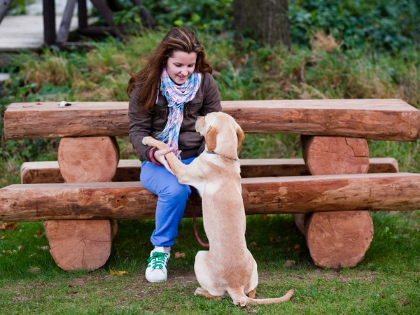 Najlepší priateľ človeka