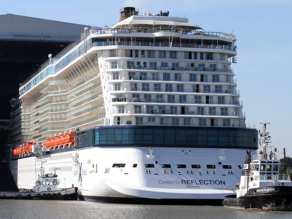 Celebrity Reflection