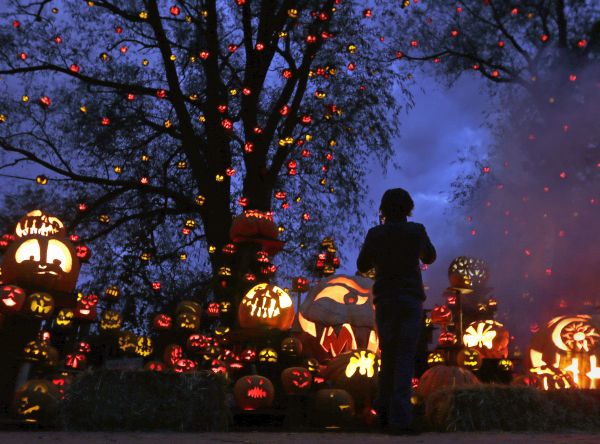 Vyrezávanie z tekvíc