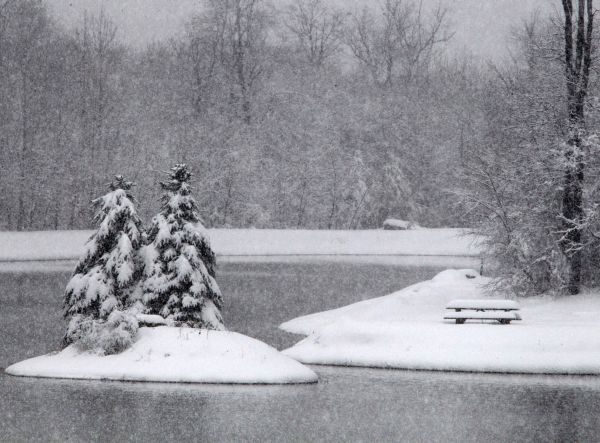 Zasnežená tvár Sandy