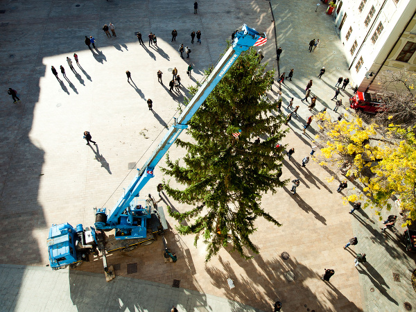 Vianočný stromček