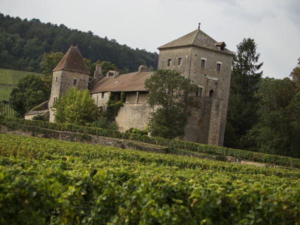 Gevrey-Chambertin