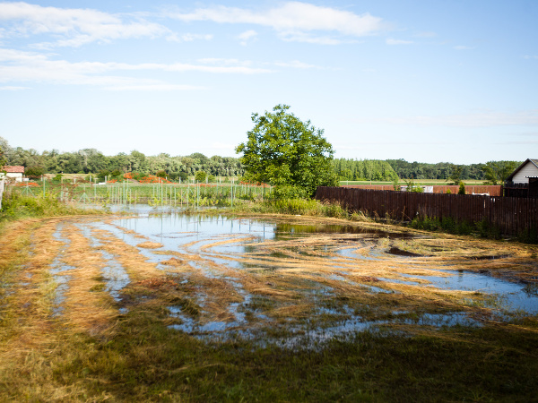 Zaplavené polia