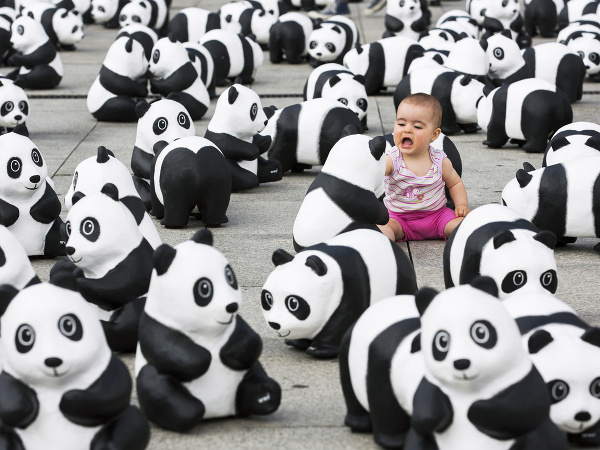 Dievčatko medzi pandami