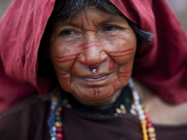 Život v Amazonskom pralese