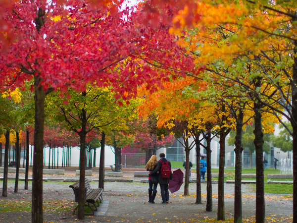 Farebná jeseň