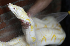 Aj had potrebuje hygienu